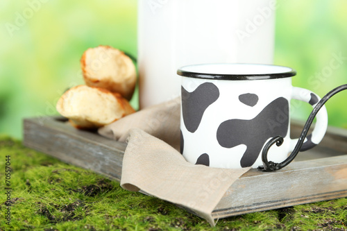 Retro still life with tasty rustic milk, on nature background