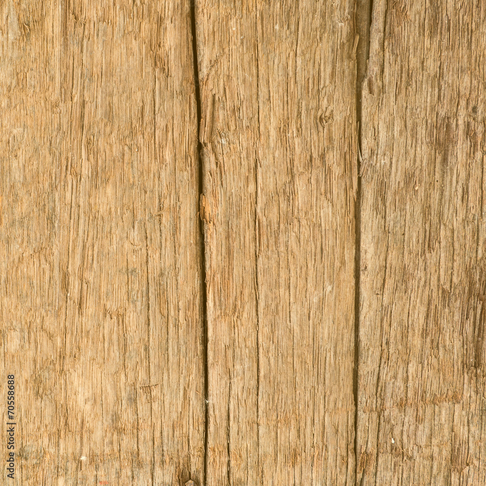 Obraz premium old wood texture