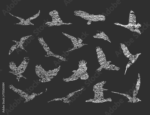 collection of birds. vector eps 8