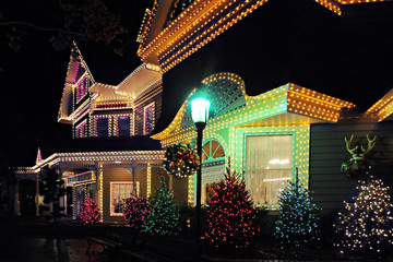 Lit Up for Christmas