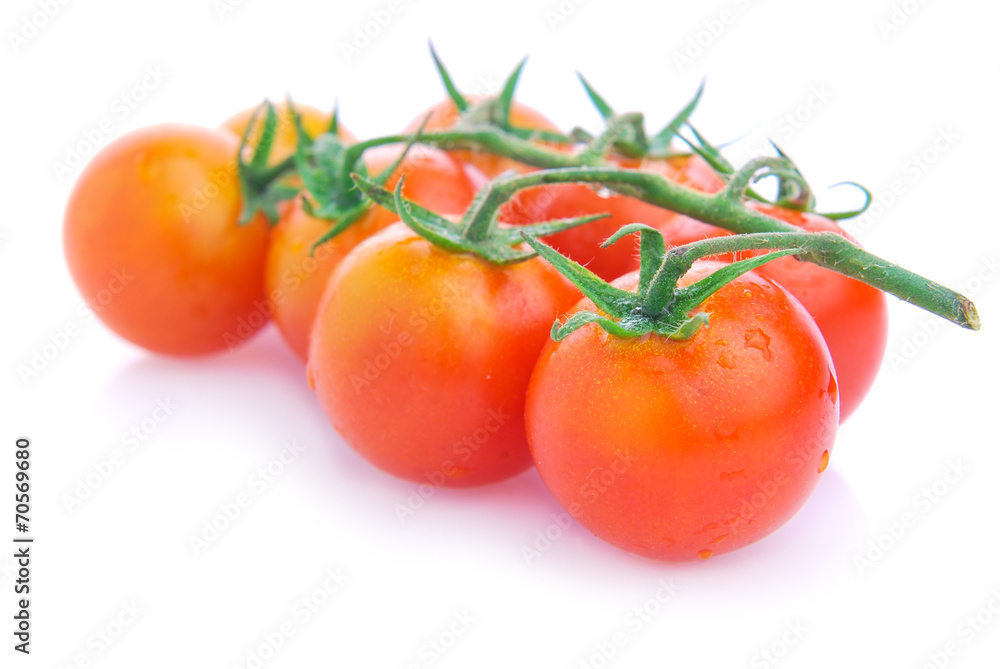 Closeup of cherry tomatoes on the vine Closeup of cherry tomatoes on the vine
