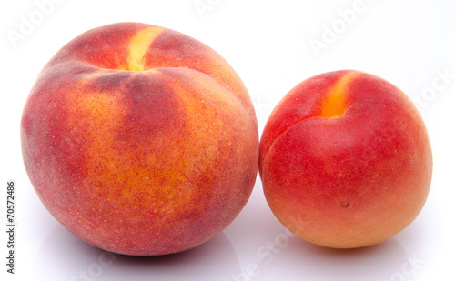Peach and apricot