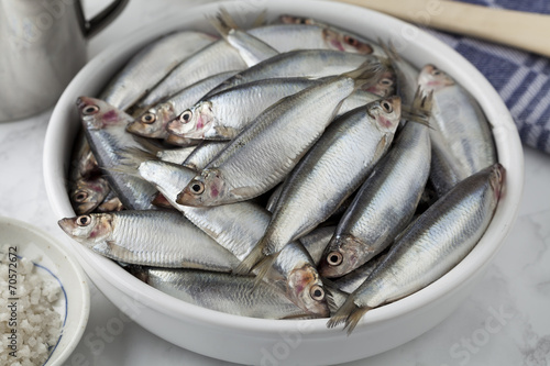 Photography Dish with raw European sprat