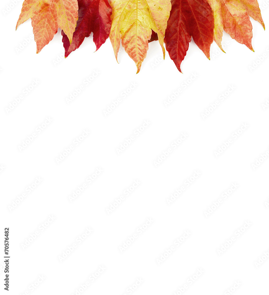 Fototapeta premium Autumn background - Frame on white