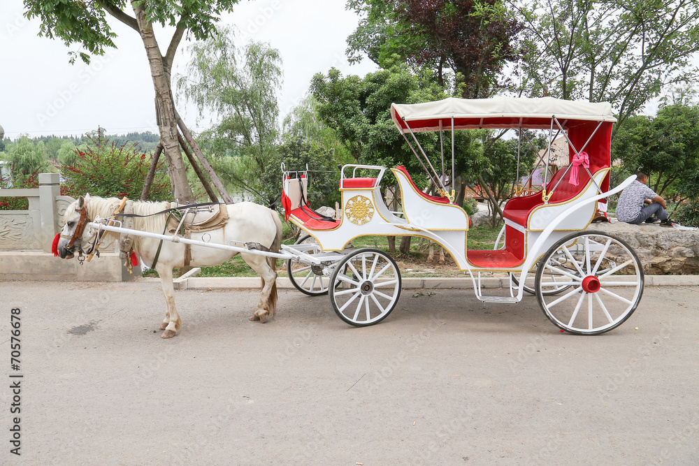 Fototapeta premium carriage