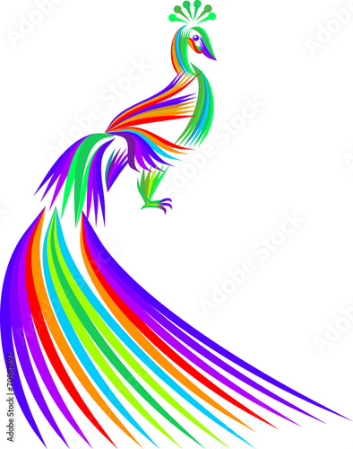 Colorful peacock