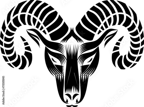 black and white head of a goat