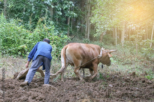 Fotografie aisan peasant ploughing