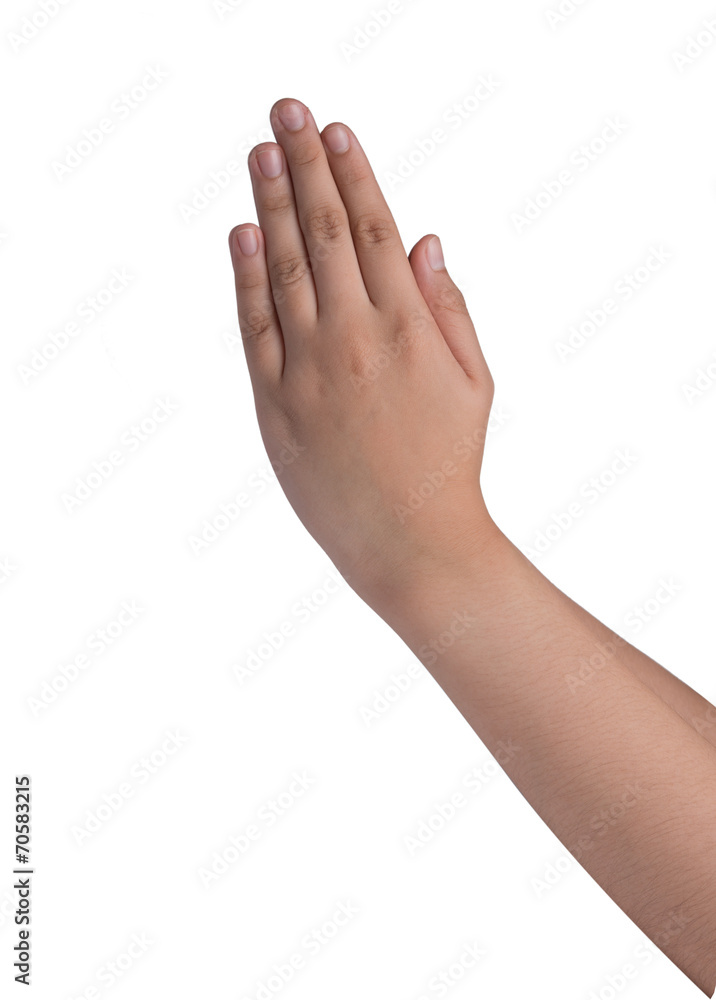female hand pay respect isolated on white background, identity c female hand pay respect isolated on white background, identity c