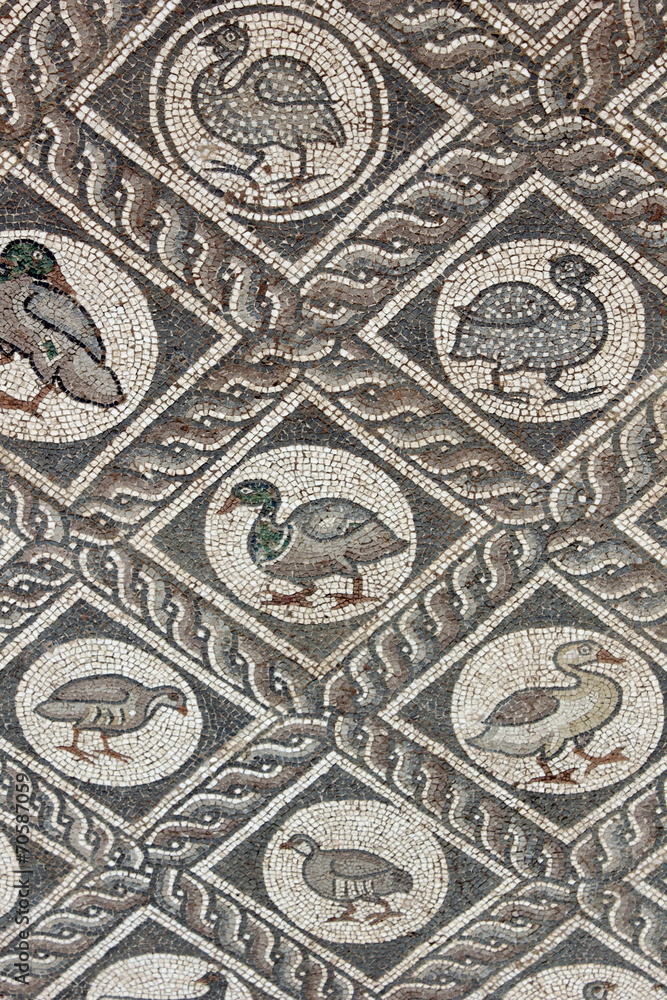 Bird Mosaic Floor from Ancient delphi Bird Mosaic Floor from Ancient delphi