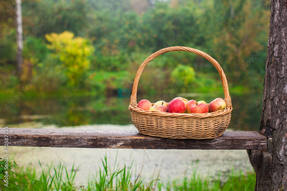 Big straw basket with red and yellow apples on bench by the lake Big straw basket with red and yellow apples on bench by the lake