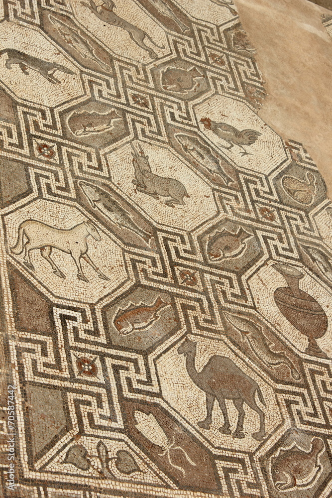 Mosaic Floor from Ancient Delphi Mosaic Floor from Ancient Delphi