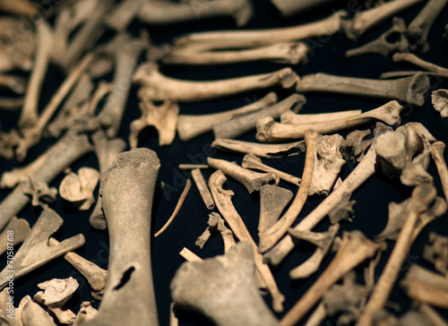 The big amount of little bones laying on the black table macro s photo