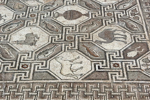 Mosaic Floor from Ancient delphi