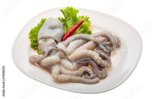 Raw octopus