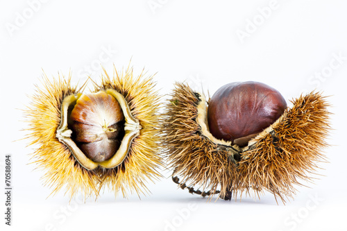 Chestnuts on white background