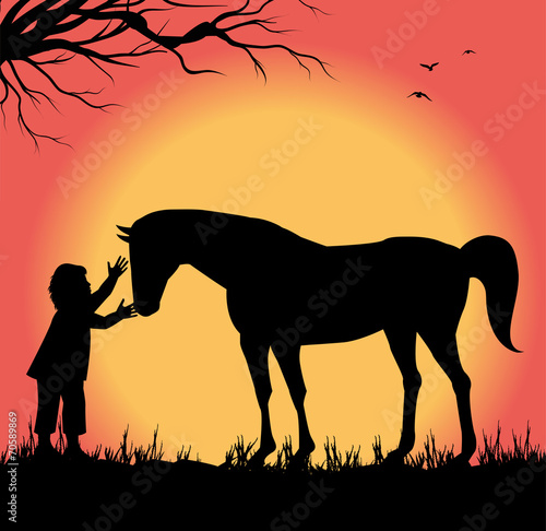 silhouette di bambino che accarezza un cavallo