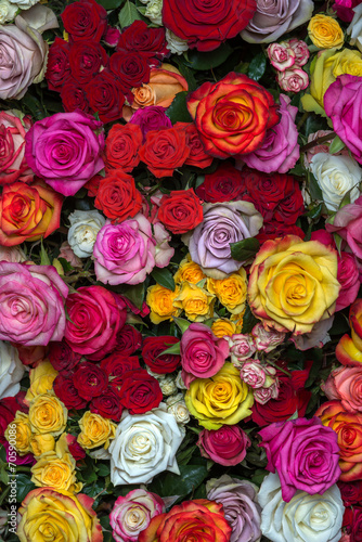 bouquet of multicolored roses