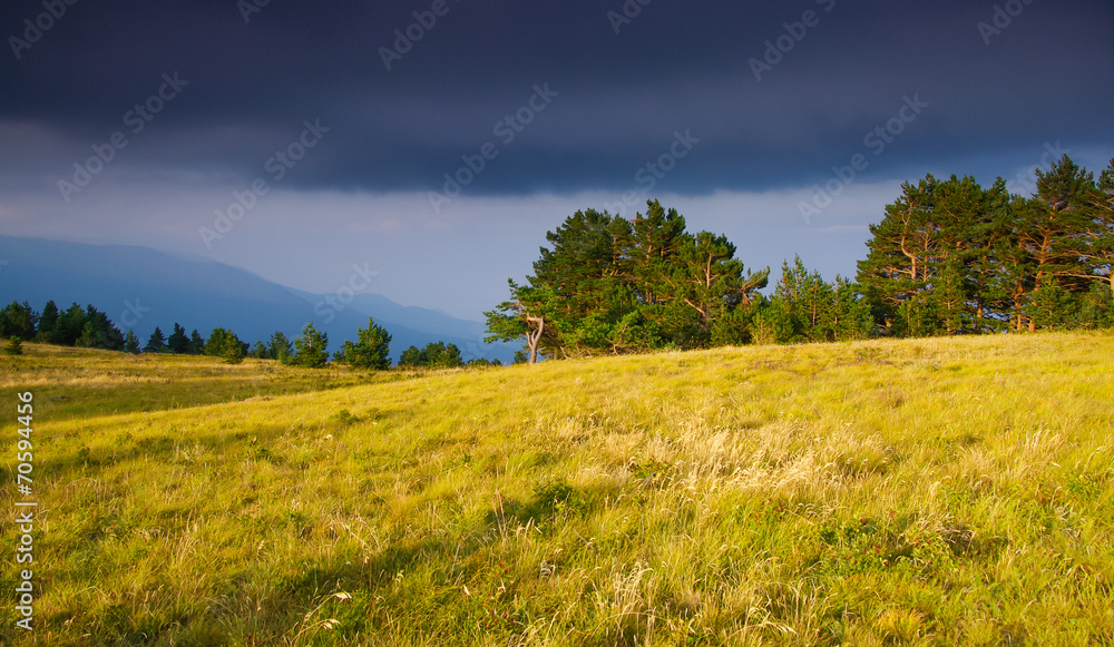 Naklejka premium Autumn field