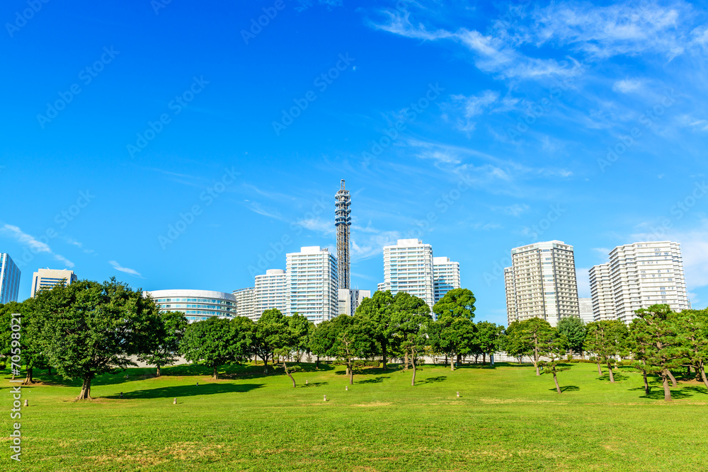 Landscape grass prospects the condominiums of landmark Landscape grass prospects the condominiums of landmark