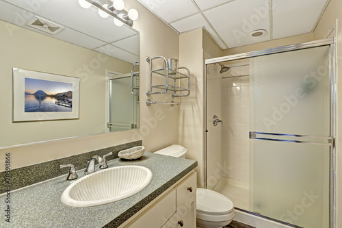 Bathroom vanity cabinet with granite top and desinged sink