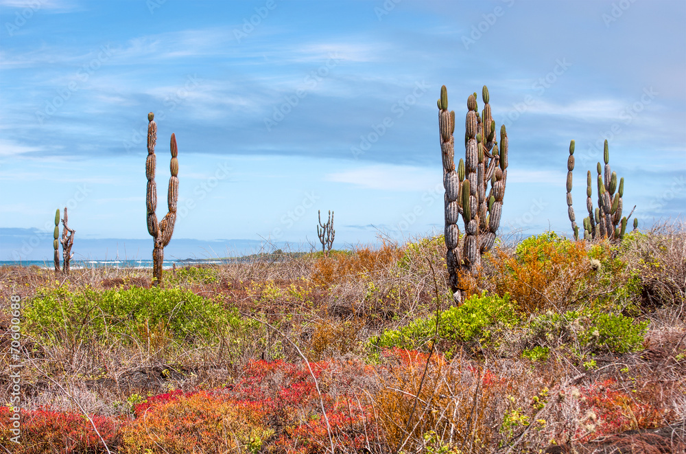 Beautiful Galapagos landscape, Isabela Island