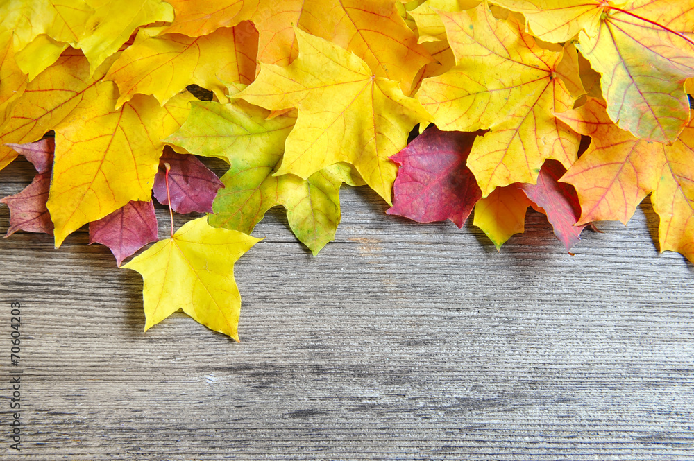 Autumn leaves over old wooden background. With copy space Autumn leaves over old wooden background. With copy space