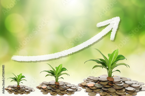 trees growing on piles of coins with green background