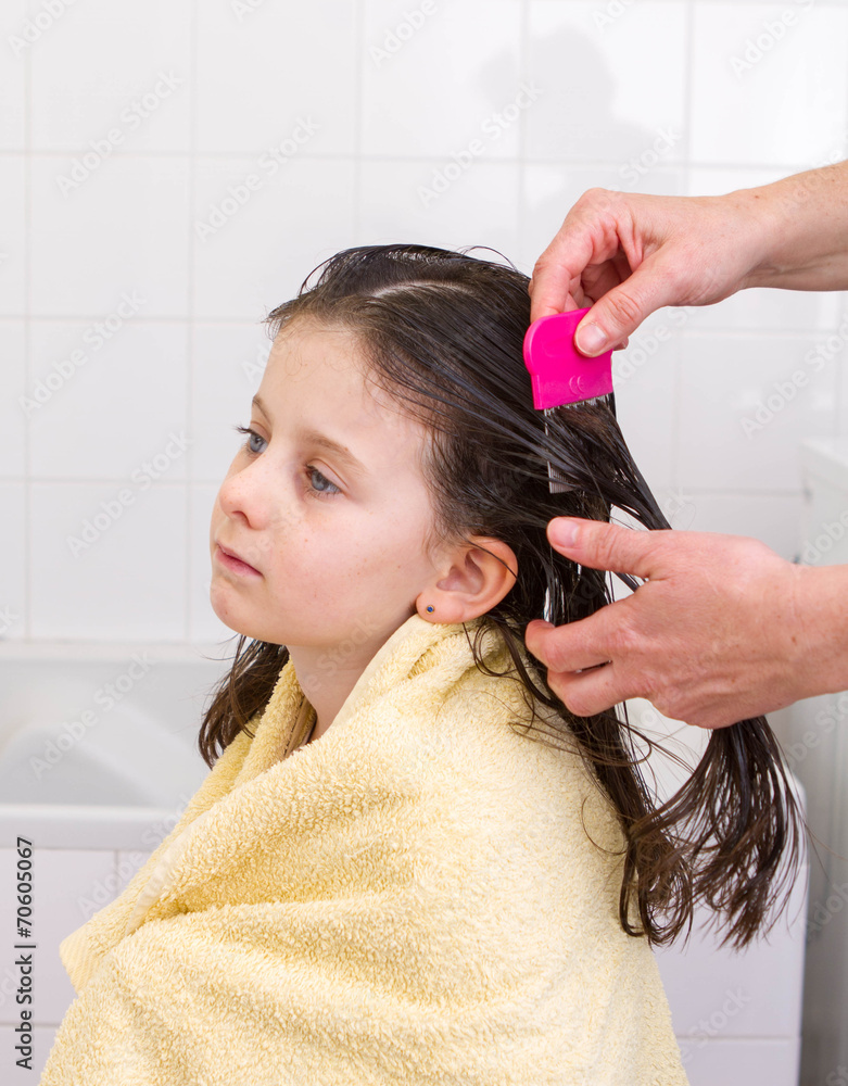 Fototapeta premium peigne à poux