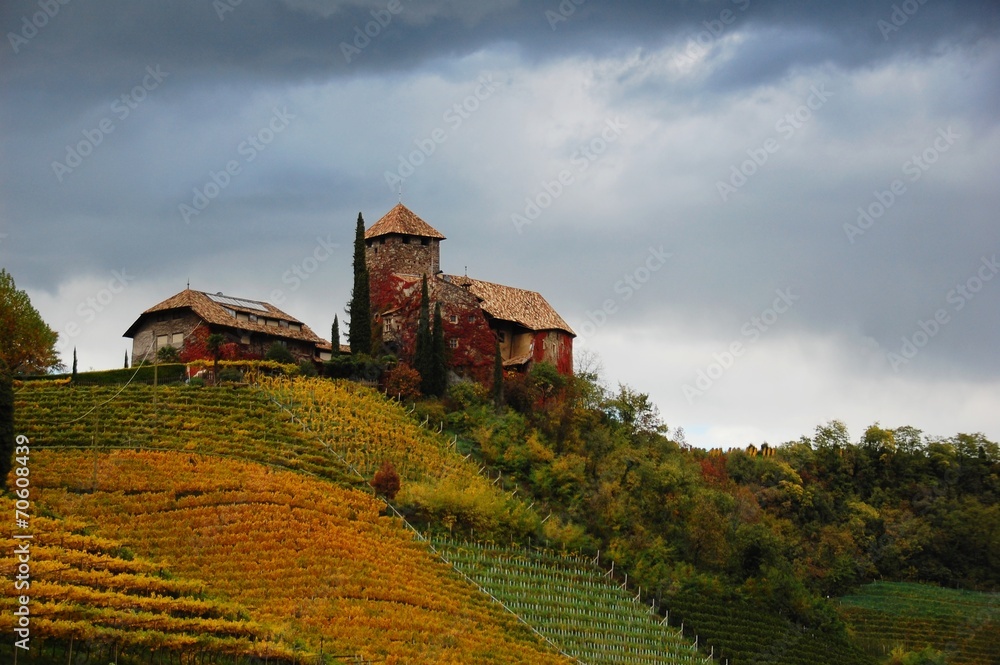 Castel Guardia fra i vigneti