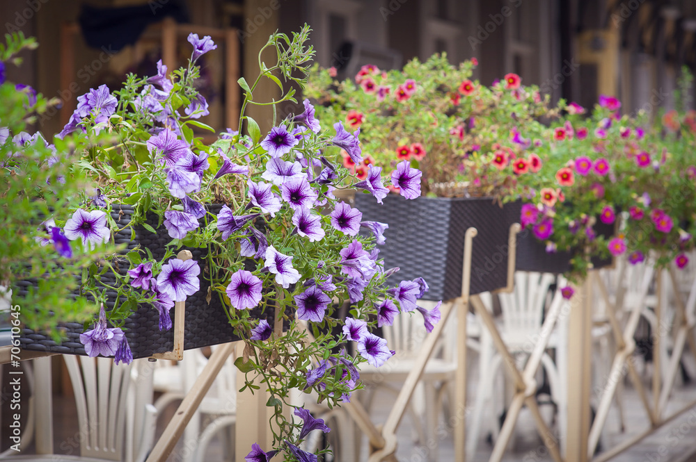 Fototapeta premium street flower decoration