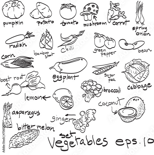 hand drawn set of vegetables, doodles