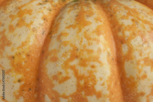 Spotted Pumpkin Closeup