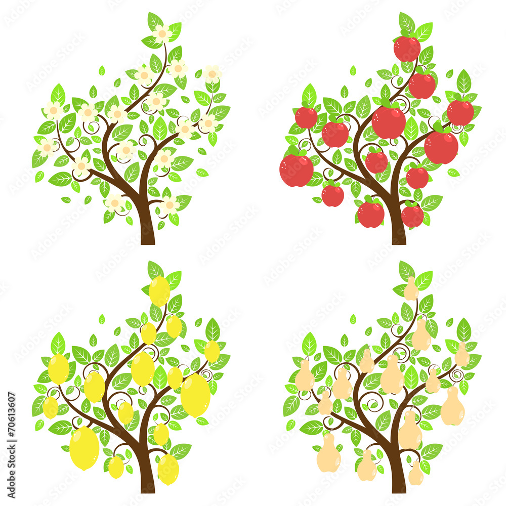 Obraz premium Stylized Fruit Trees