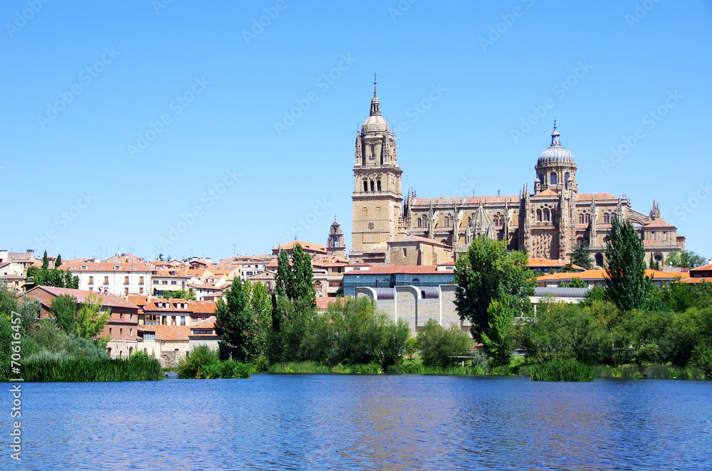 cathedral of Salamanca and Tormes river