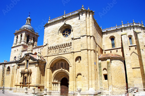 Cathedral of Ciudad Rodrigo, Salamanca,