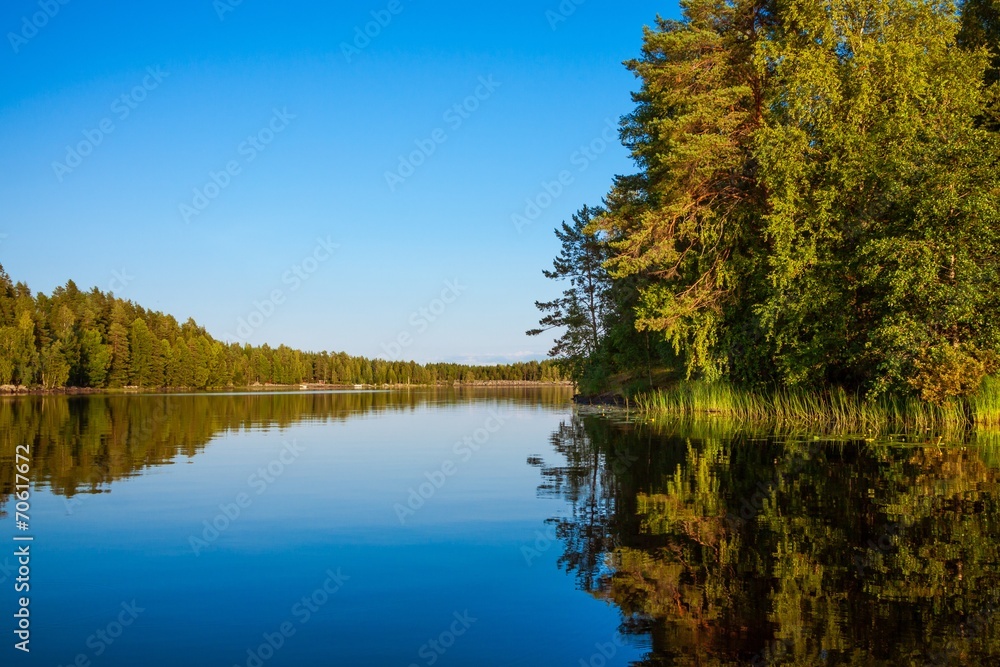 Fototapeta premium Forest reflecting in lake