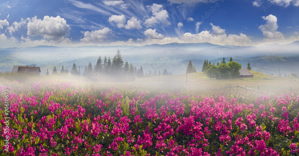 Fototapeta premium Mountain ranges of Ukraine
