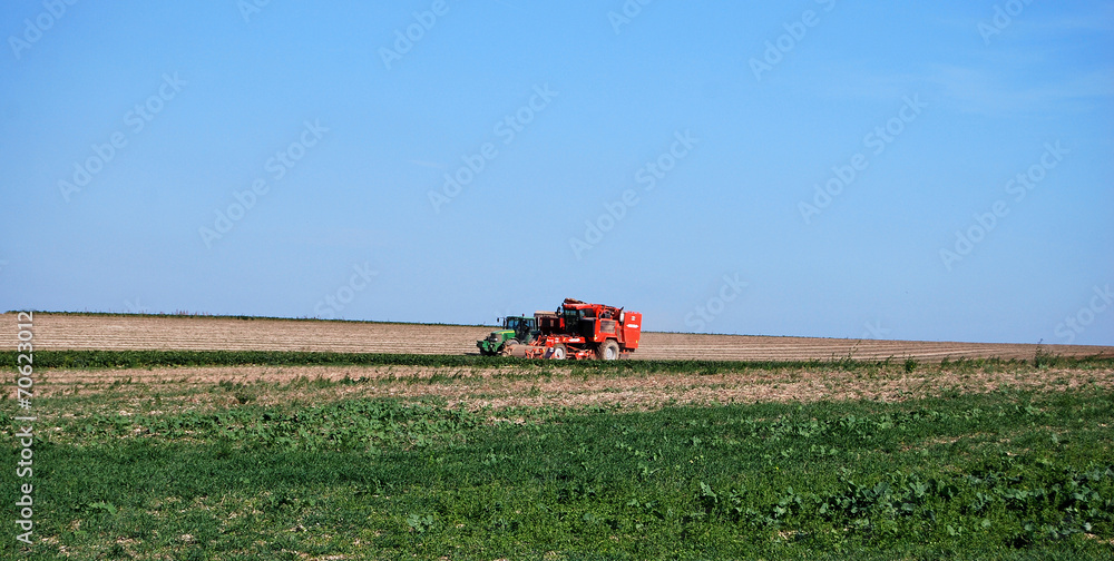 Fototapeta premium Tracteur et Moisson