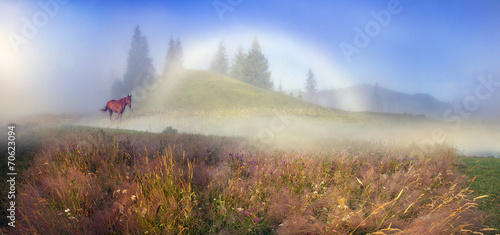 white foggy rainbow photo