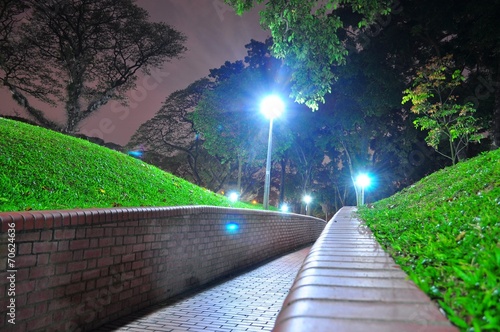 Photography Perspective view of walkway at a garden
