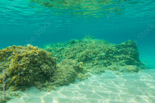 Randonnée sous-marine CORSE