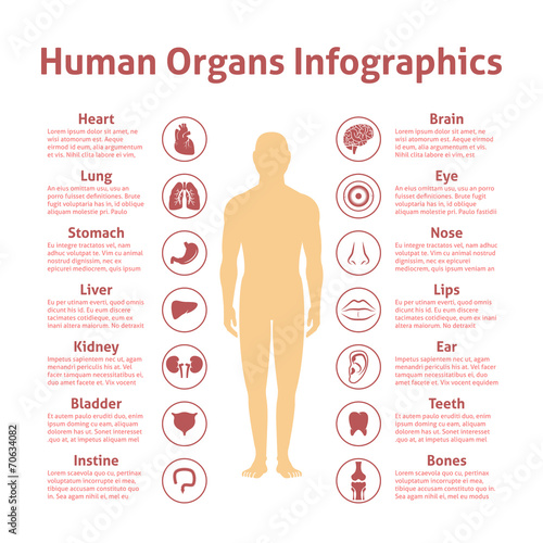 Human infographic set