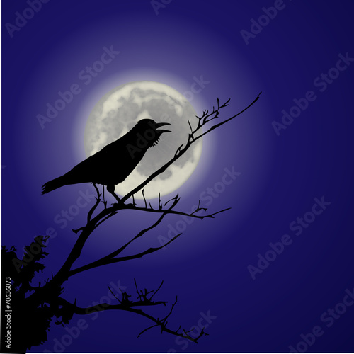 Rabe auf einem Ast vor dem Mond