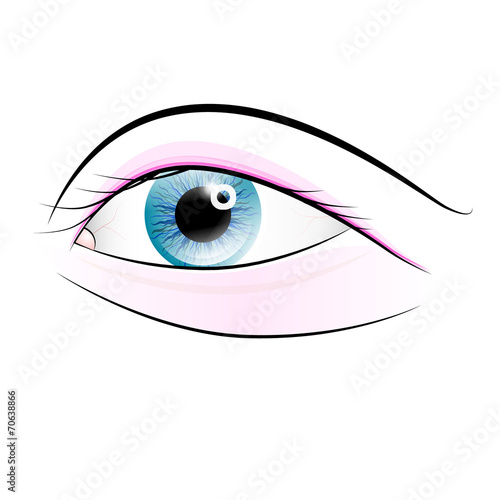 Vector Human Eye Isolated on White Background