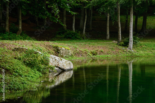 Tranquil scene of the lake shore