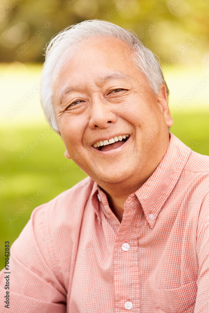 Portrait Of Smiling Senior Asian Man Sitting In Park Portrait Of Smiling Senior Asian Man Sitting In Park