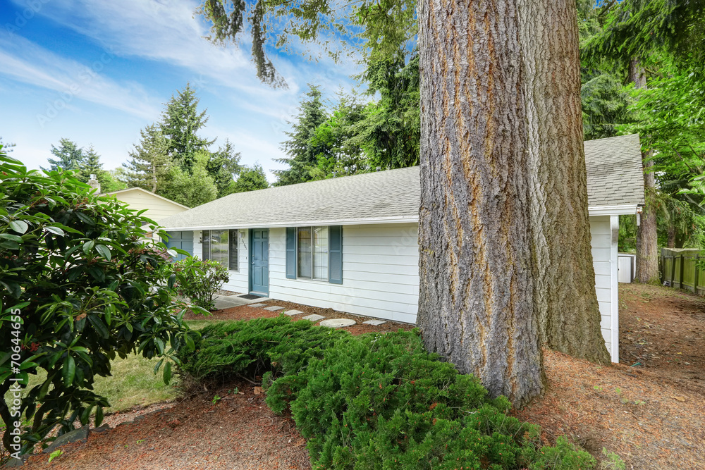House exterior with blue trim.. Entrance door and concrete walkw House exterior with blue trim.. Entrance door and concrete walkw