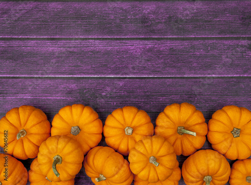 Autumn Pumpkin Thanksgiving Background photo
