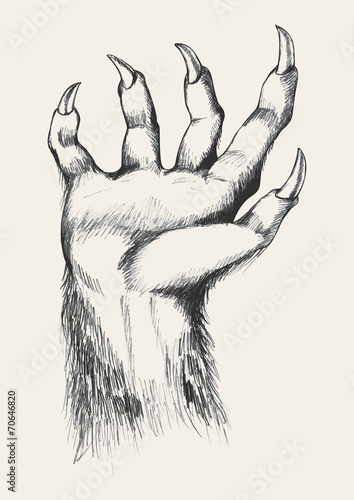 Sketch illustration of werewolf hand